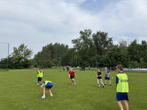 IMG 2767